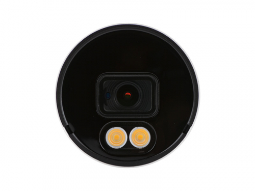 Видеокамера Tyto IPC 2B36-A1S-30 (Full Colour)